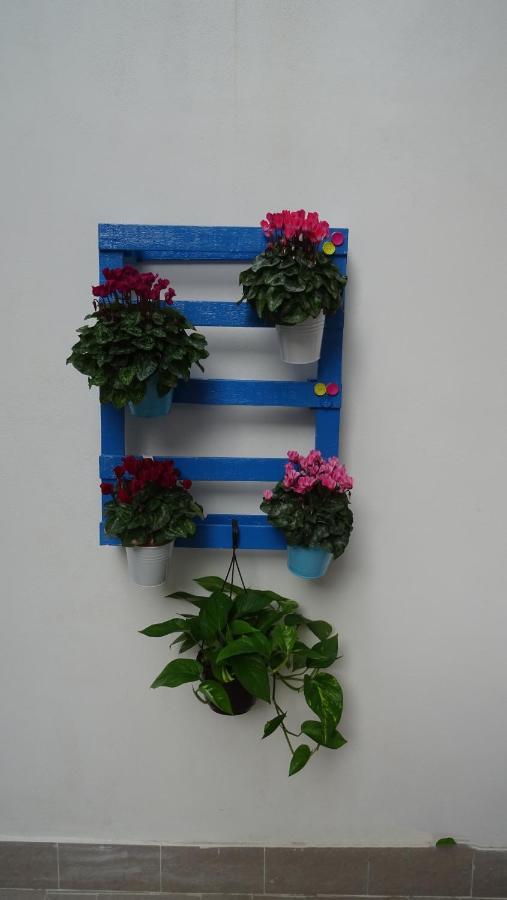 Il Giardino Segreto Apartment ปาแลร์โม ภายนอก รูปภาพ